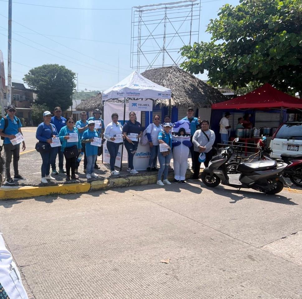 Fuerza de ventas MIZTON · Telmex